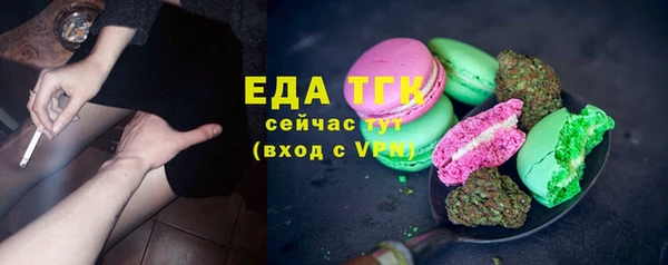 дмт Краснослободск