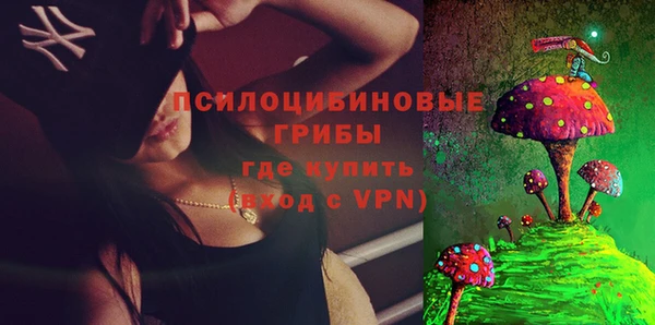 бошки Алексеевка
