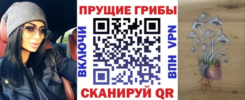 дарк нет Telegram  Юрьев-Польский  Галлюциногенные грибы мухоморы  ссылка на мегу маркетплейс 